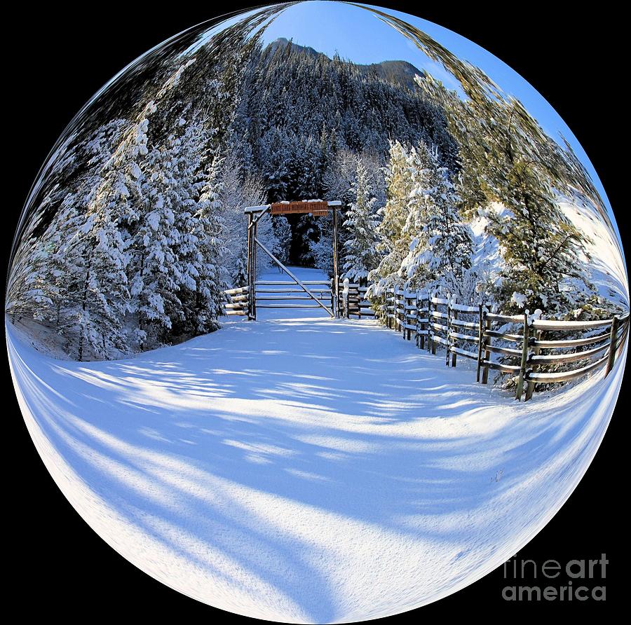Winter Gate Photograph by Roland Stanke