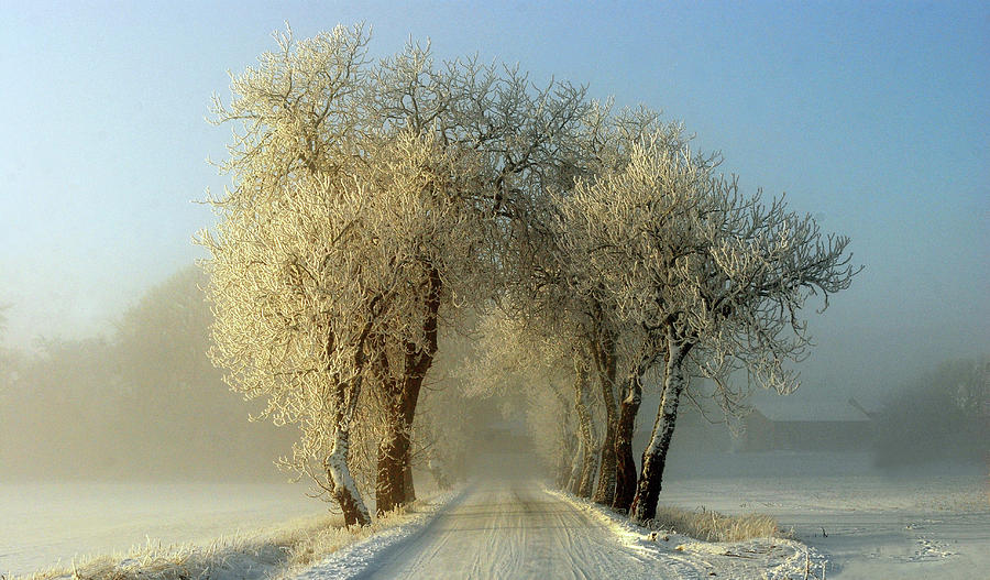 Winter  Gateway Photograph by Leif Westling