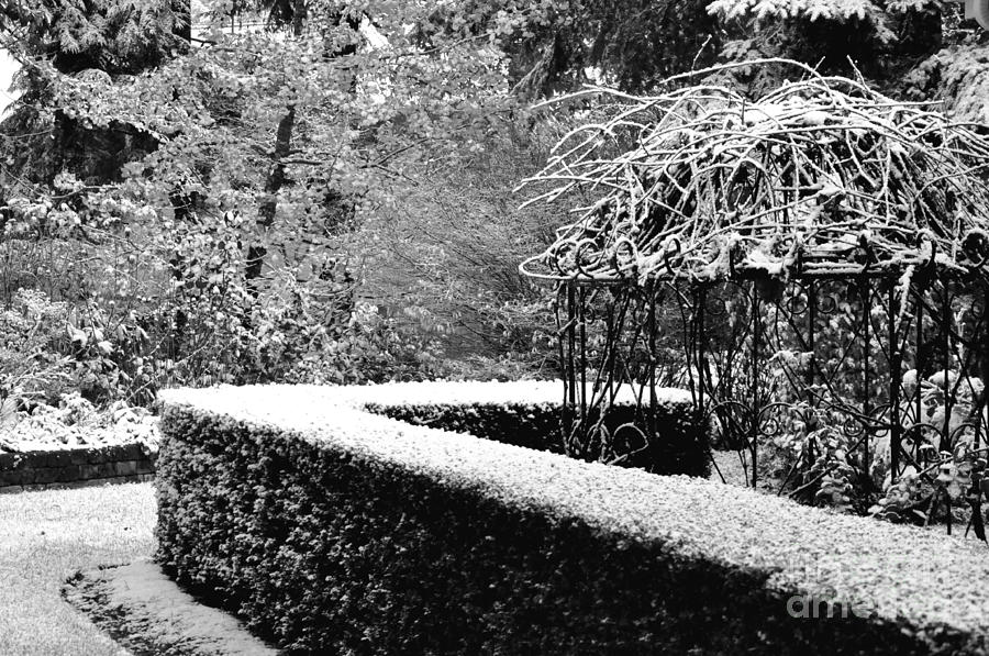 Winter Gazebo Photograph by Tatyana Searcy