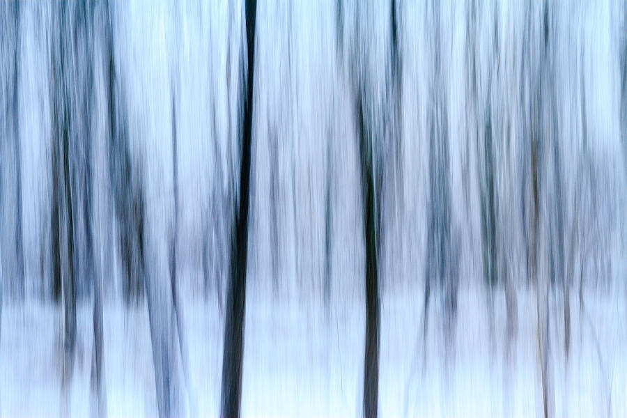 Winter Ghosts Photograph by Bryan Bzdula - Fine Art America