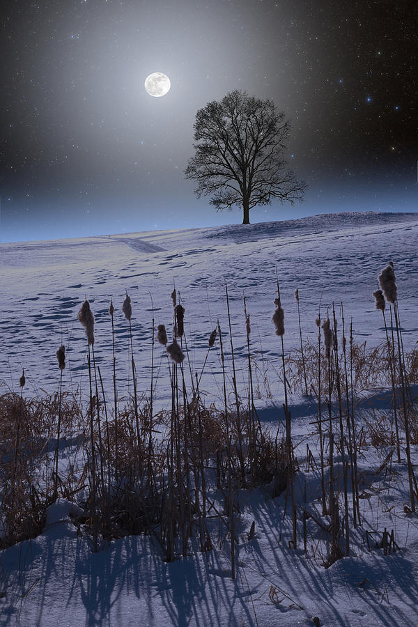 Winter Glow Photograph by Larry Landolfi