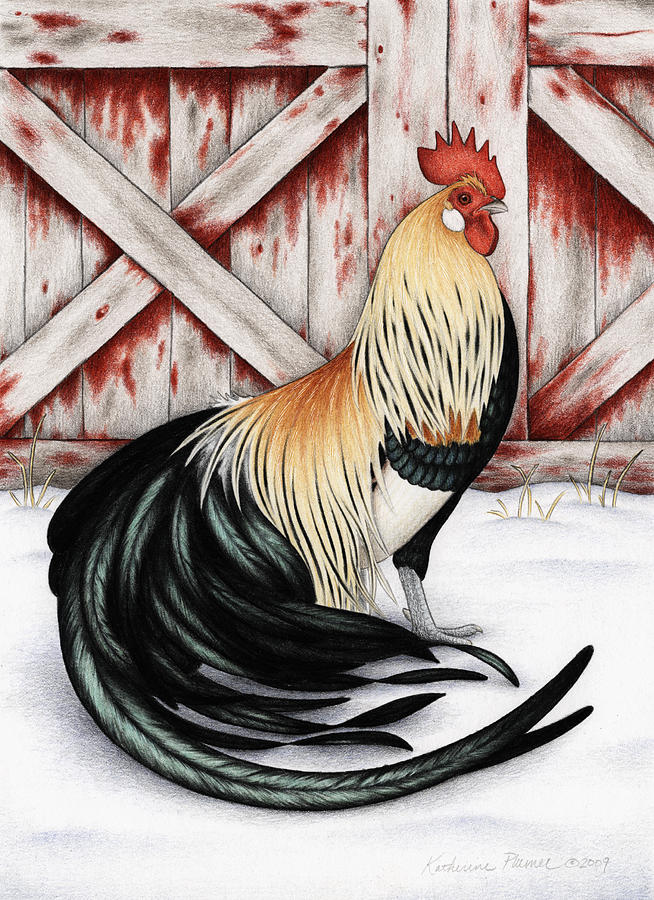 Rooster Drawing - Winter Gold by Katherine Plumer