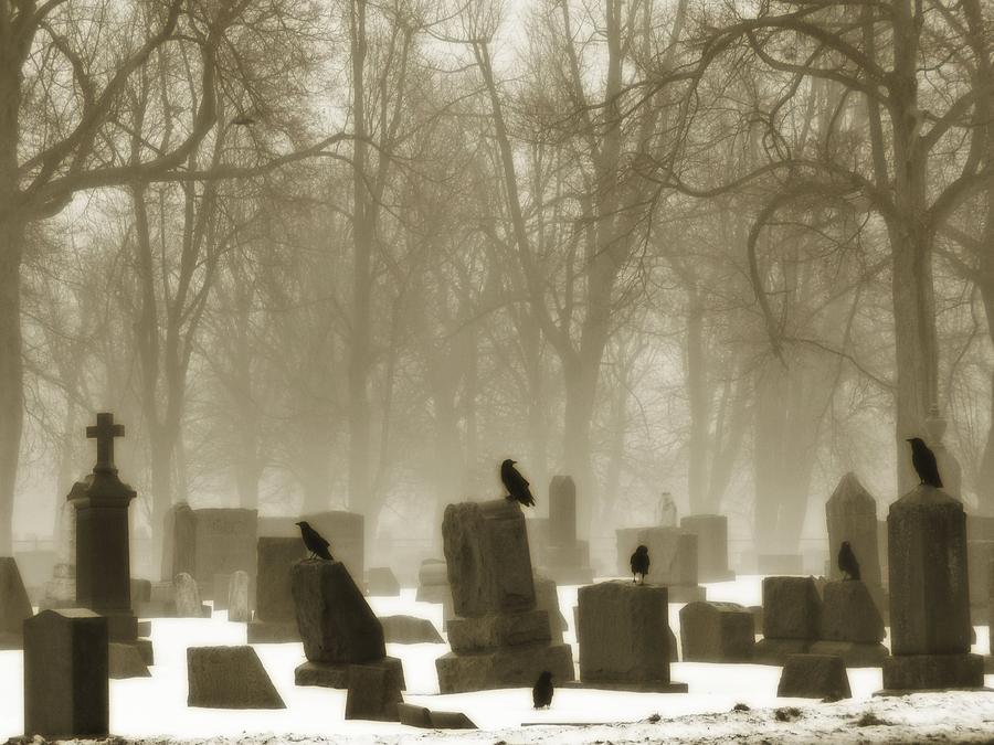Animal Photograph - Winter Graveyard Crows by Gothicrow Images