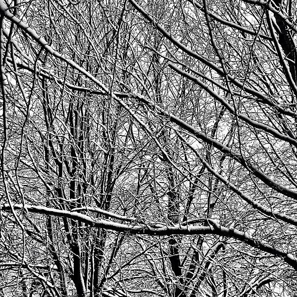 Winter Haiku Photograph by Jason Feather