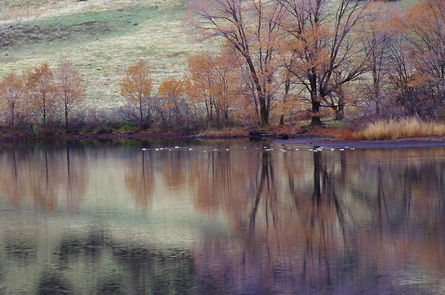 Winter Hang Out Photograph by Mike and Sharon Mathews - Fine Art America