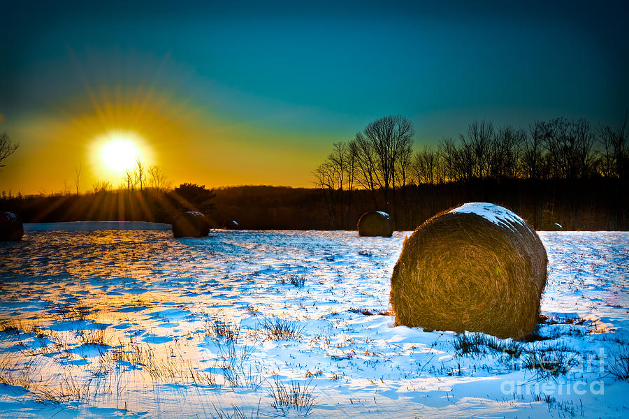 Winter Harvest Landscape Photograph by Gary Keesler