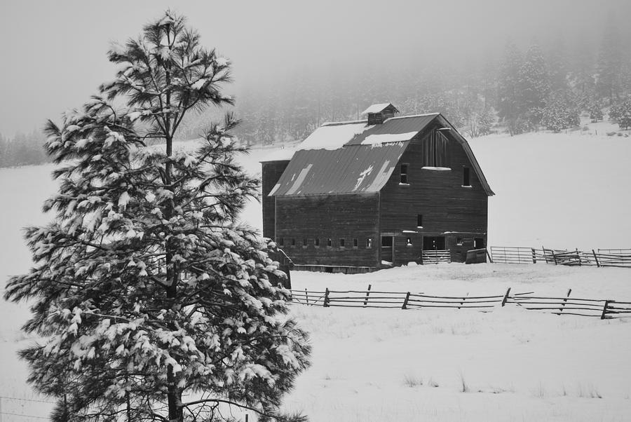 Winter Haven Photograph By Duane King