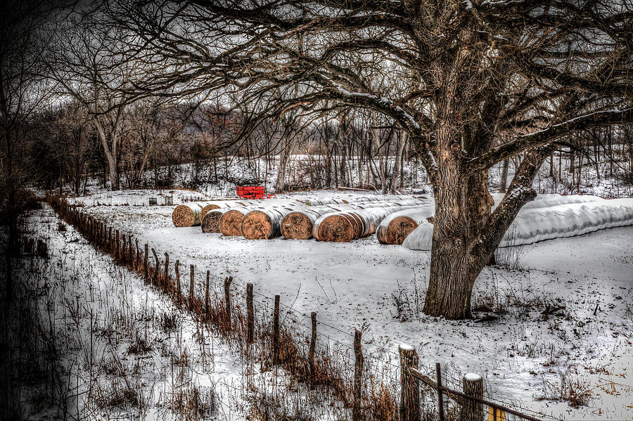 Winter Hay Photograph by Ray Congrove