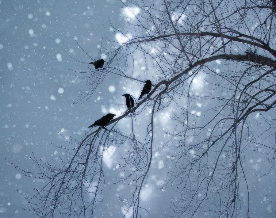 Winter Hearts Greeting Card by Gothicolors Donna Snyder Photograph by Anita Dale Livaditis