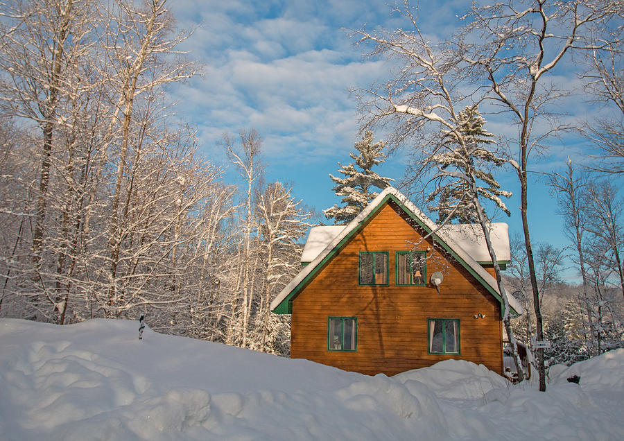 Winter Hideaway Photograph by Pat Speirs