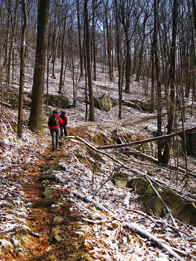 Winter Hikers at Frozen Head State Park Photograph by Melinda Fawver