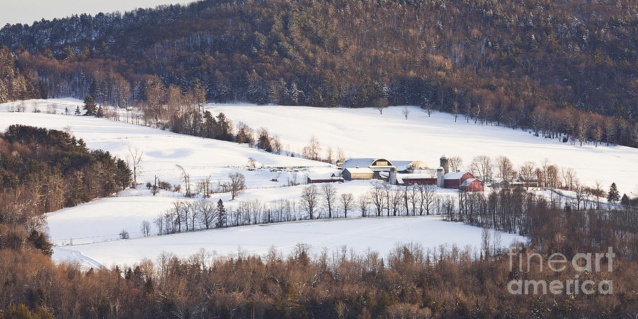 Winter Hillside Farm Photograph by Alan L Graham