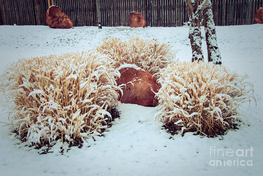 Winter Photograph - Winter Huddle by Bob and Nancy Kendrick
