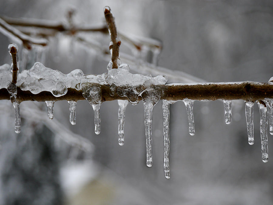 Winter - Ice Drops Photograph by Richard Reeve