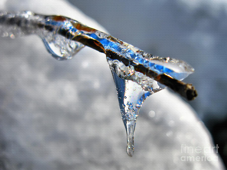 Winter Icicle formations Photograph by Daliana Pacuraru