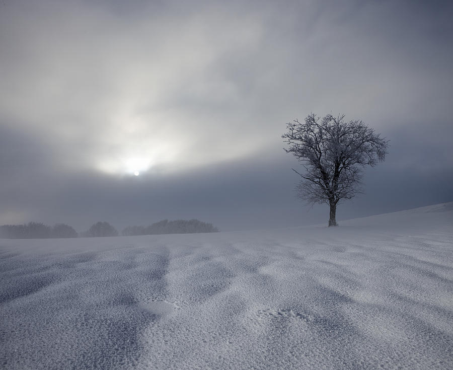 Landscape Photograph - Winter Impression by Franz Schumacher