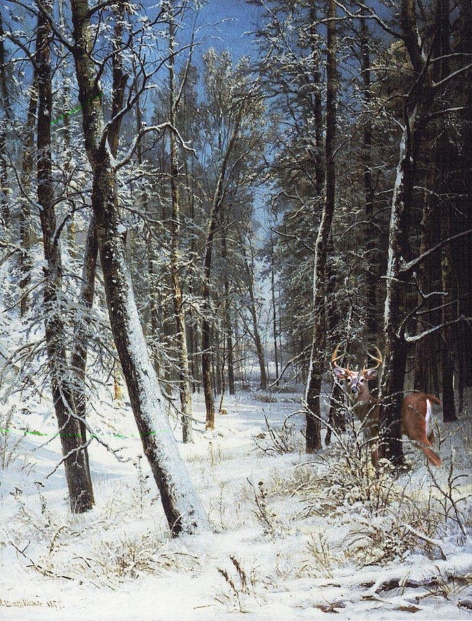 Winter in a Forest Rime -1877 Digital Art by Ivan Shishkin
