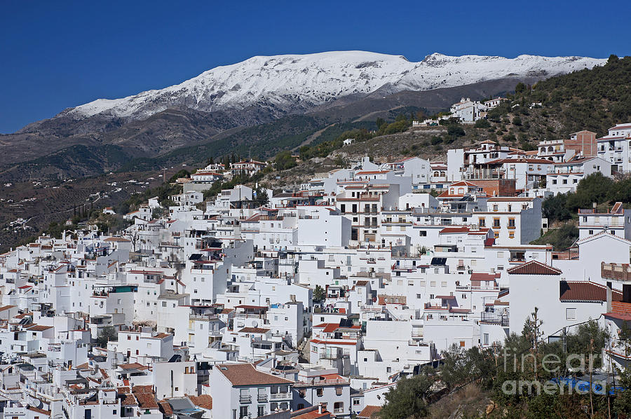 Winter in Andalucia Photograph by Rod Jones