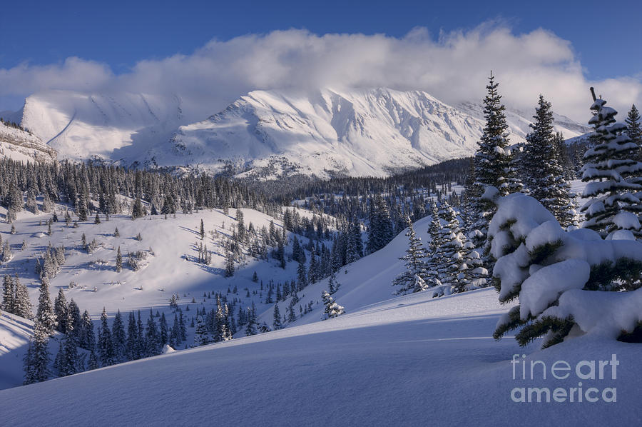 Winter in Banff Photograph by Dan Jurak