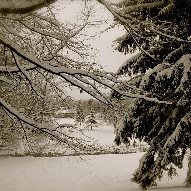 Winter Photograph - Winter In Black And White by Justin Connor