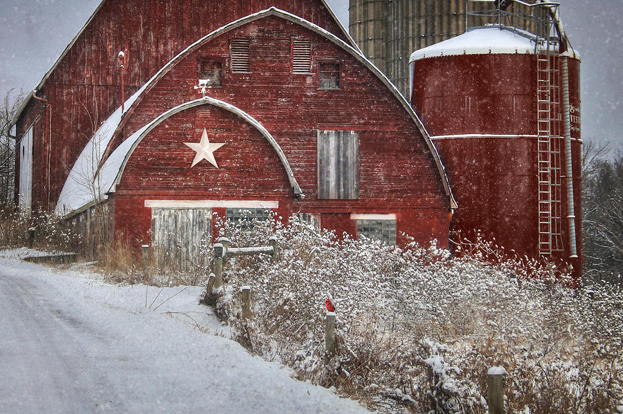 Winter in Bradford County Photograph by Lori Deiter