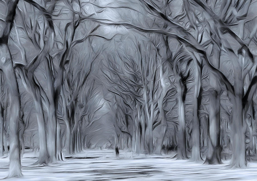 Winter in Central Park Digital Art by Nina Bradica