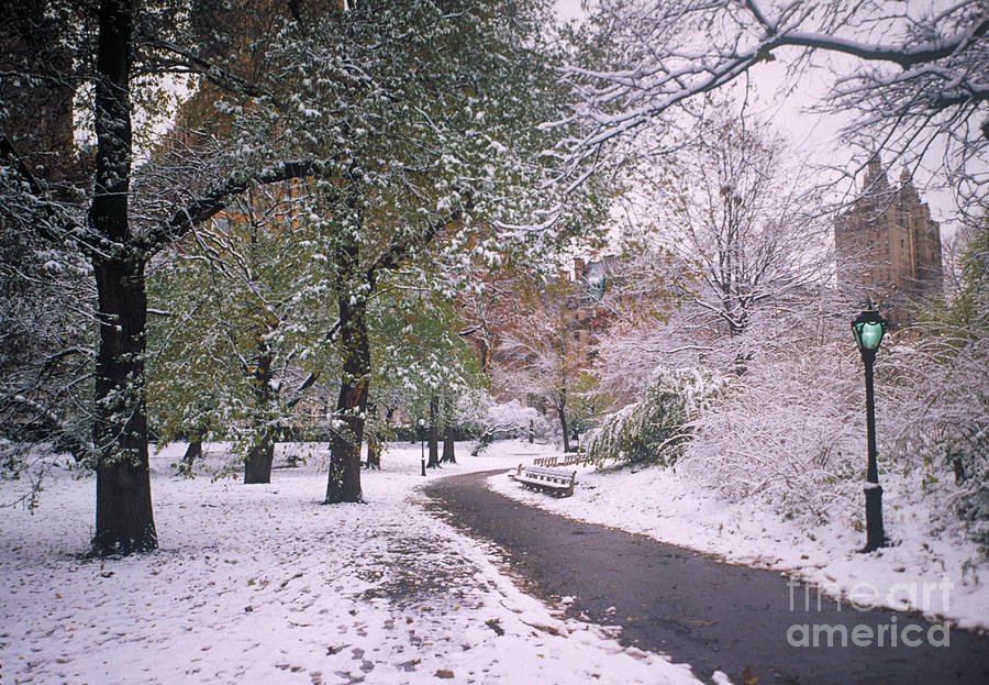 Winter In Central Park, Nyc Photograph by Rafael Macia