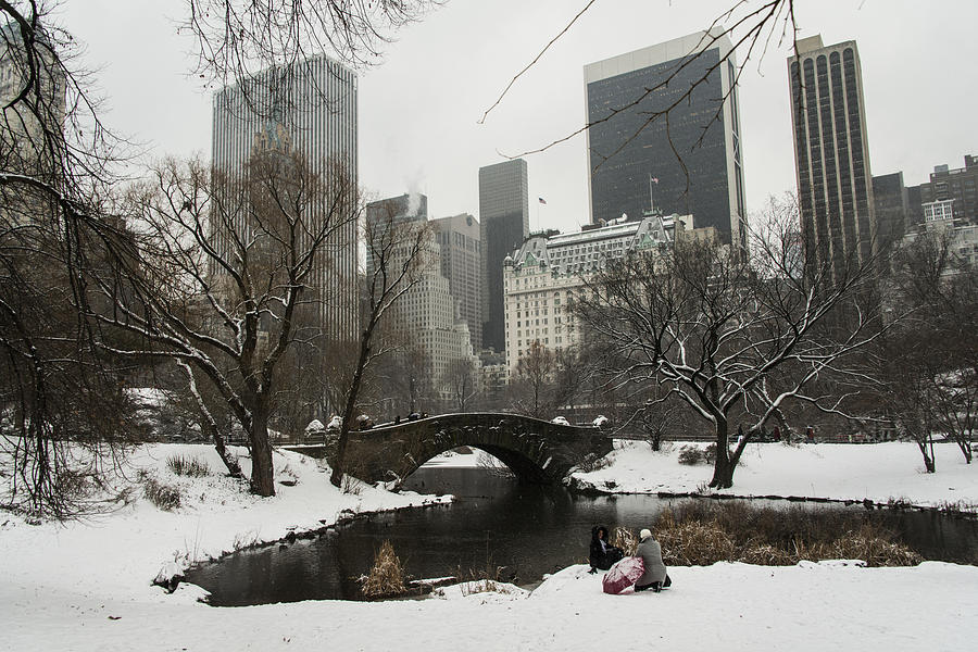 Winter in Central Park Photograph by Theodore Jones