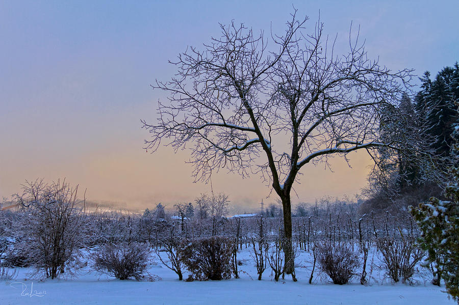 Winter in color Photograph by Raffaella Lunelli