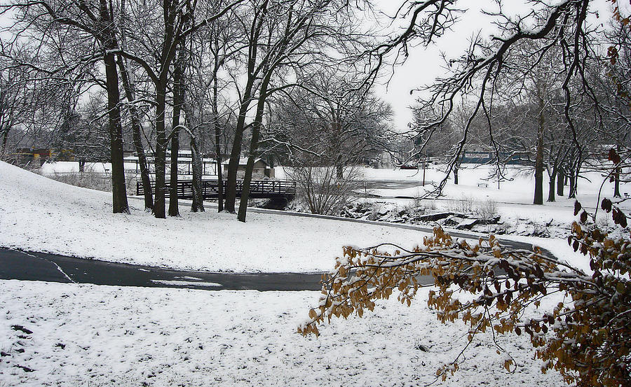 Winter in Hill Park 8 Photograph by Ellen Tully
