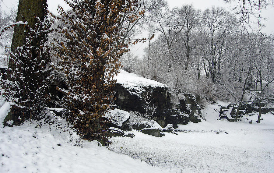 Winter in Hill Park Photograph by Ellen Tully