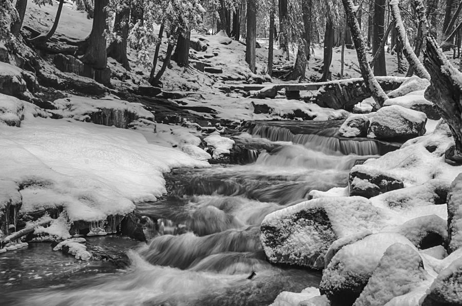 Winter in Hobbit Land 7D08886 Photograph by Guy Whiteley
