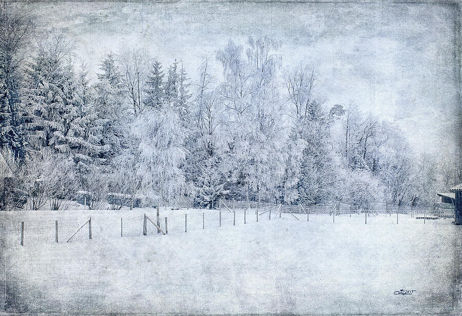 Winter Photograph - Winter in January by Jutta Maria Pusl