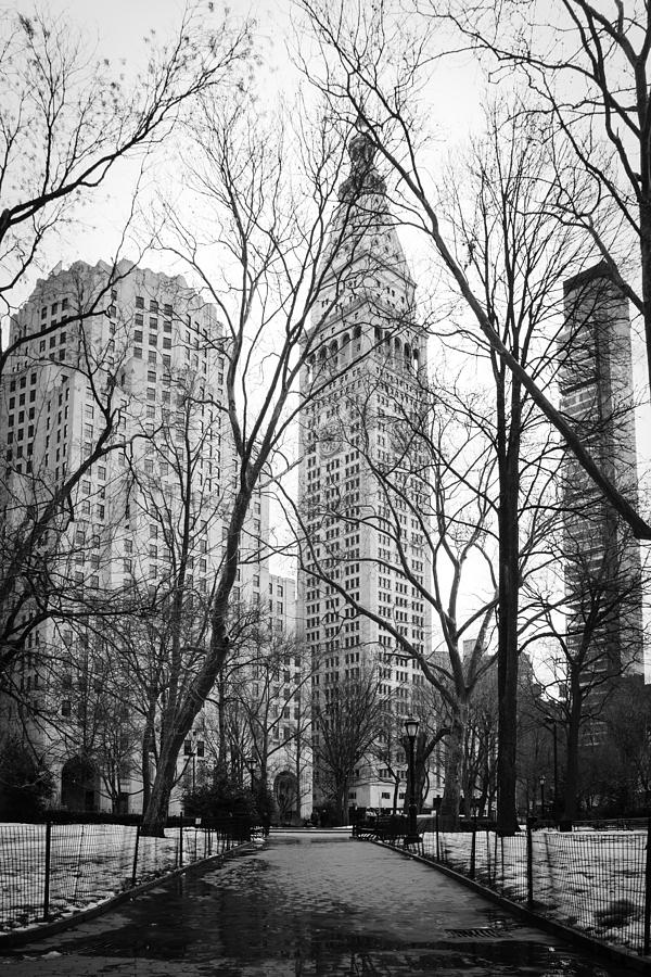 Winter in Madison Square Park - New York City Photograph by Erin Cadigan