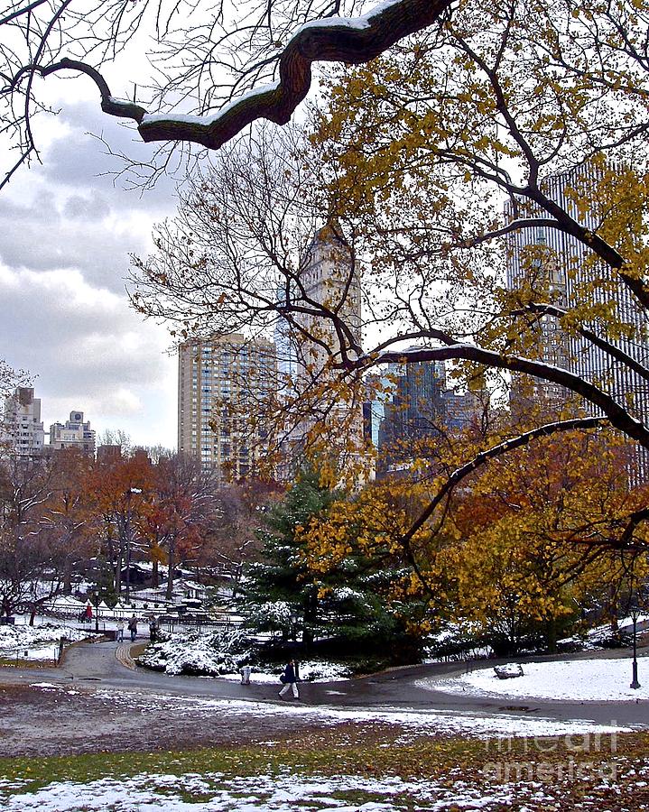 Winter in Manhattan Photograph by Carol  Bradley