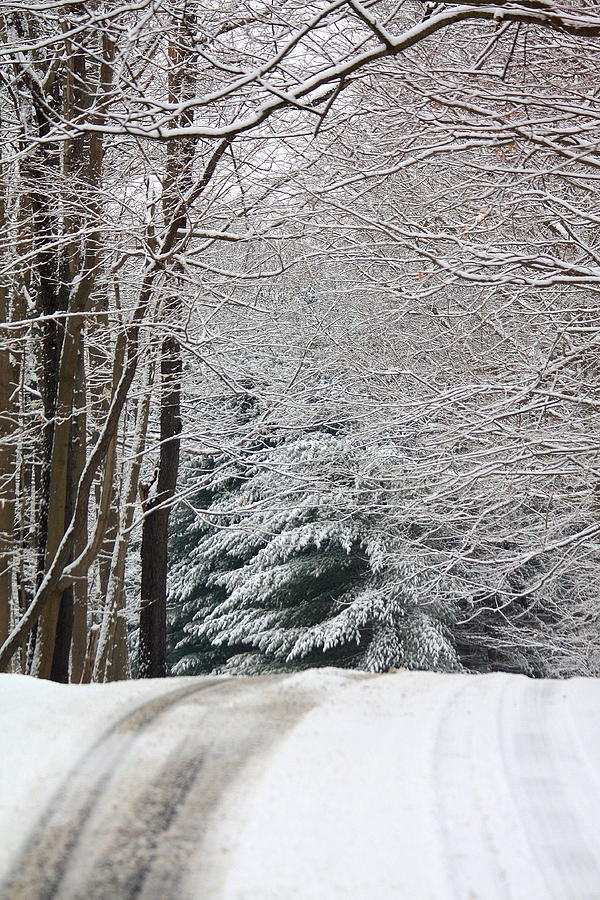 Winter in Mill Creek Park 4 Photograph by Annie DeMilo - Fine Art America