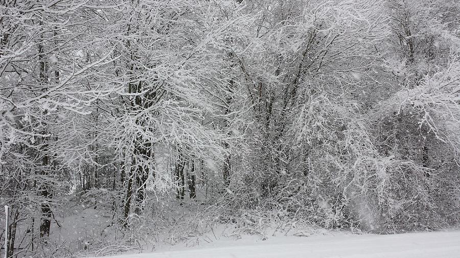 Winter in New Hampshire Photograph by David Mailhot