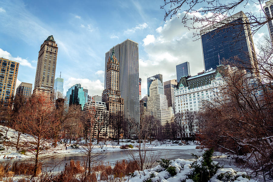Winter Photograph - Winter in New York by Ovidiu Rimboaca