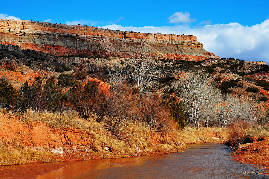 Winter in Palo Duro Canyon Photograph by Karen Slagle