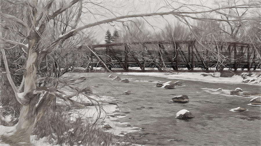 Black And White Photograph - Winter in Pencil by Pam Boling