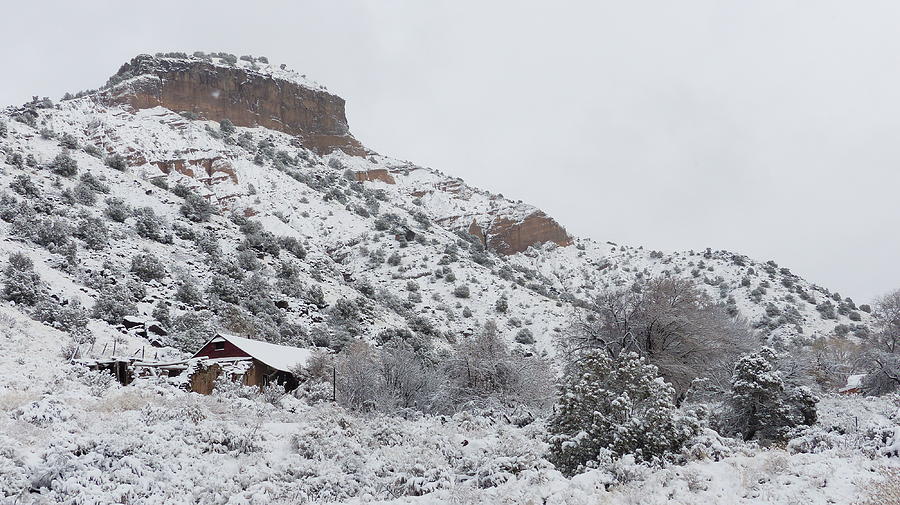 Winter in Pilar Photograph by Juanita Witkop - Fine Art America