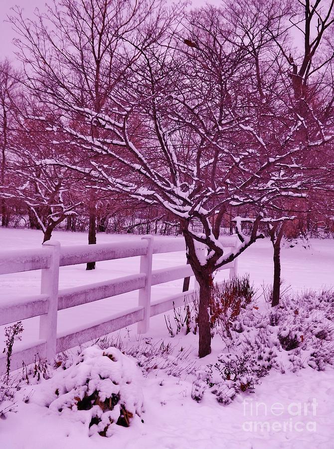 Winter in Pink Photograph by Brigitte Emme