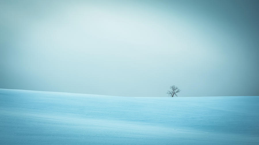 Winter Photograph - Winter In Solitude by 
