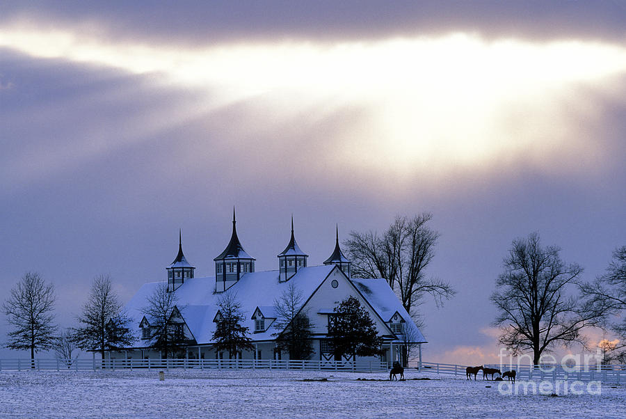 Winter Photograph - Winter in the Bluegrass - FS000286 by Daniel Dempster