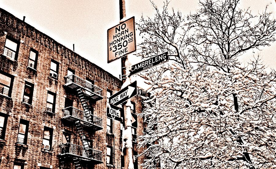 Winter In The Bronx Photograph