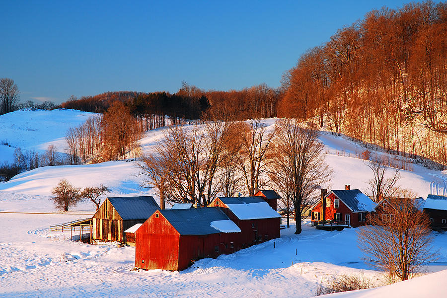Winter in the Country Photograph by James Kirkikis