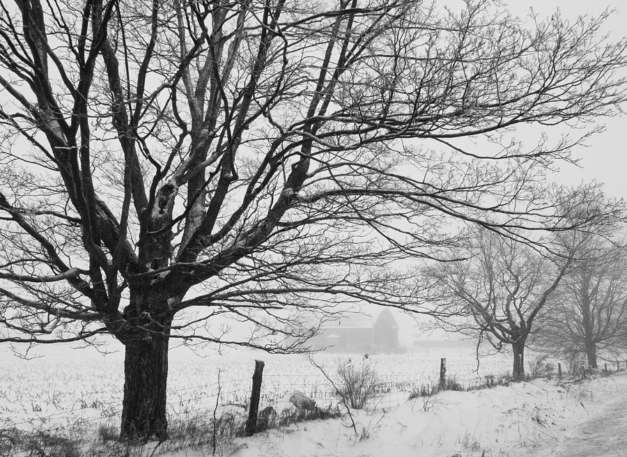 Winter in the Country by Stan Wojtaszek Winter in the Country by Stan Wojtaszek