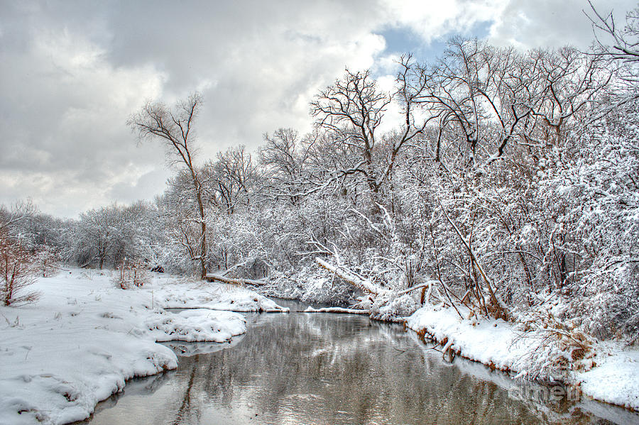 Winter in the Heartland 9 Photograph by Deborah Smolinske