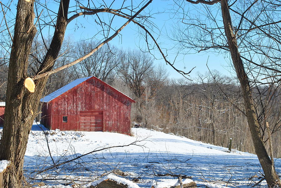 Winter in the Heartland6 Photograph by Nimmi Solomon - Fine Art America