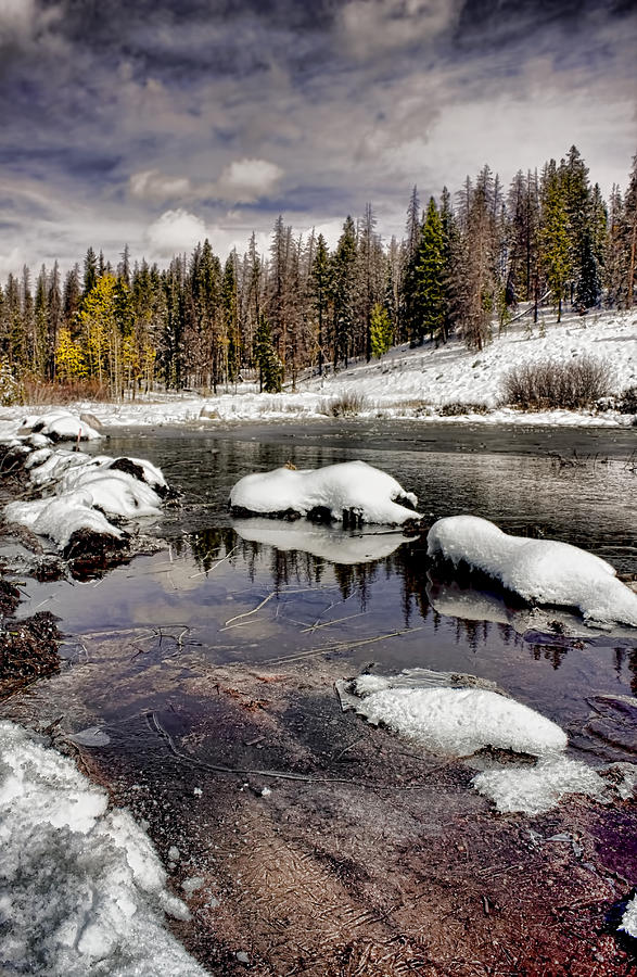 Winter in the High Country Photograph by Ellen Heaverlo